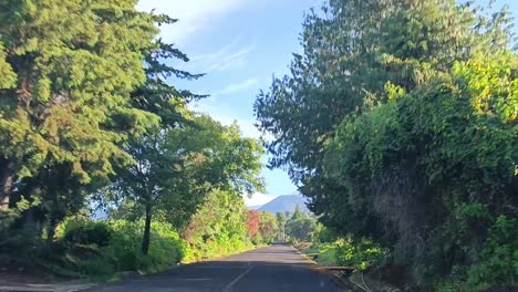 pov disparó conduciendo por caminos rurales en argentina durante el día