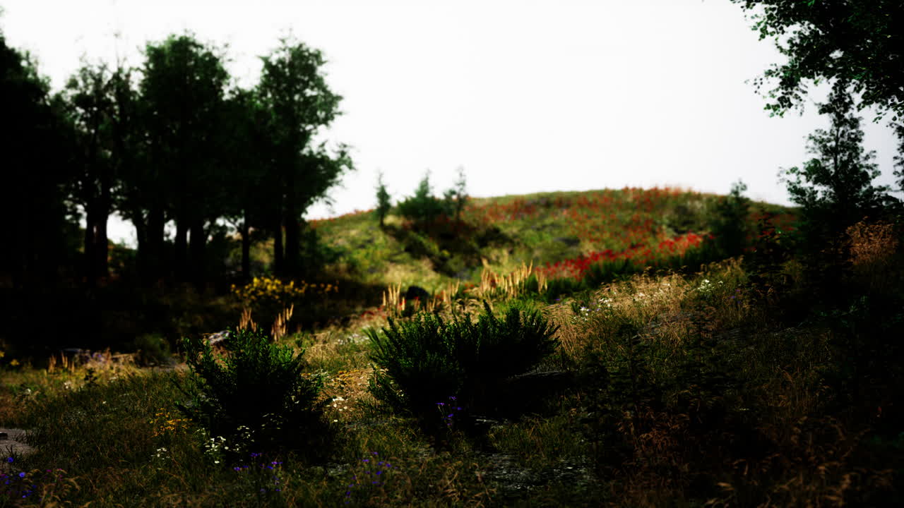 꽃 피는 초원 이 있는 아름다운 알프스 산악 풍경 의 아름다운 전망