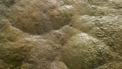closeup of water and rocks at mammoth hot springs