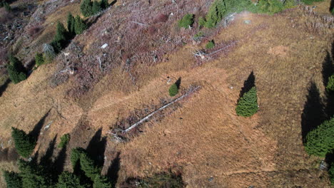 Vista-Aérea-Con-Vistas-A-Las-Aves-Volando-Sobre-La-Naturaleza-De-Las-Tierras-Altas-En-El-Soleado-Kazajstán