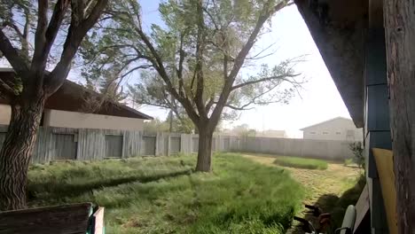 trees and grass blowing around in the backyard during a stormy day in alberta canada.