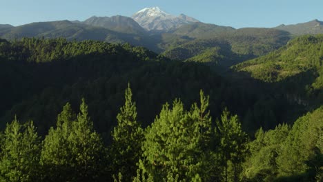 Aufnahmen-Einer-Gruppe-Von-Bäumen,-Die-Die-Magische-Landschaft-Der-Hügel-Um-Einen-Vulkan-Enthüllen