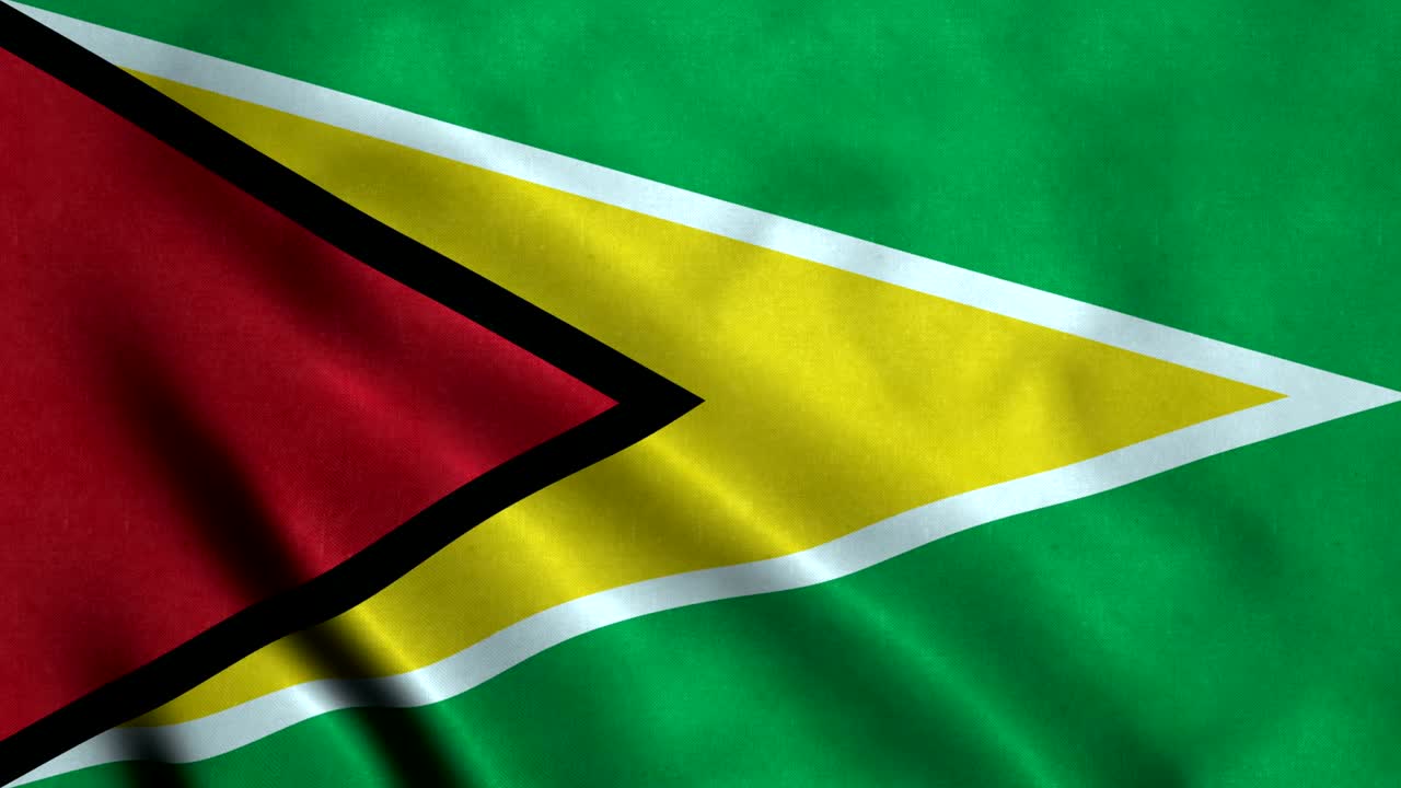 4k 시머리스 루프가 가능한 기아나의 발