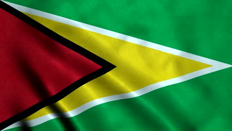 bandera de guyana con un bucle sin costuras de 4k