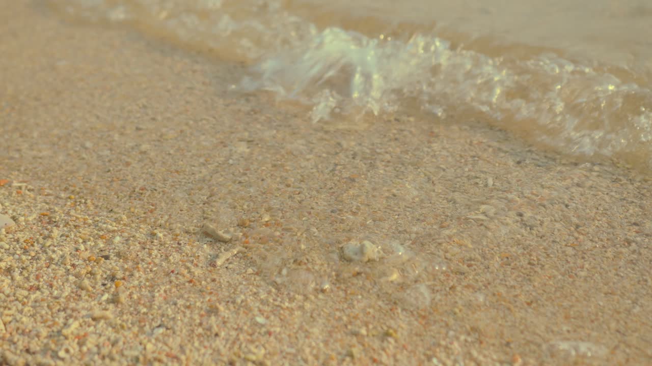 해변의 부드러운 파도