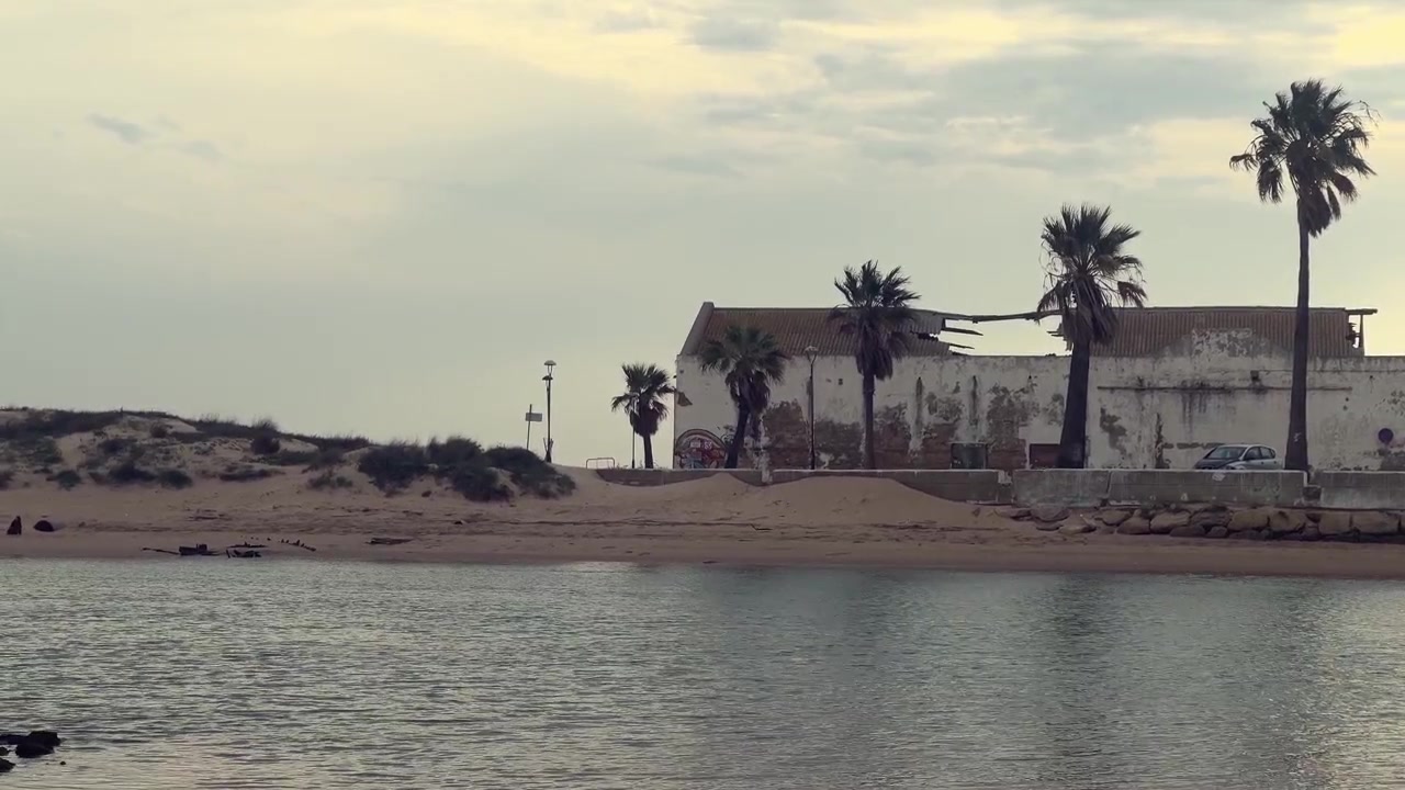Palme che crescono vicino a un vecchio edificio abbandonato sulla spiaggia di Barbate, Andalusia, in una giornata nuvolosa con un mare tranquillo, creando un'atmosfera malinconica.