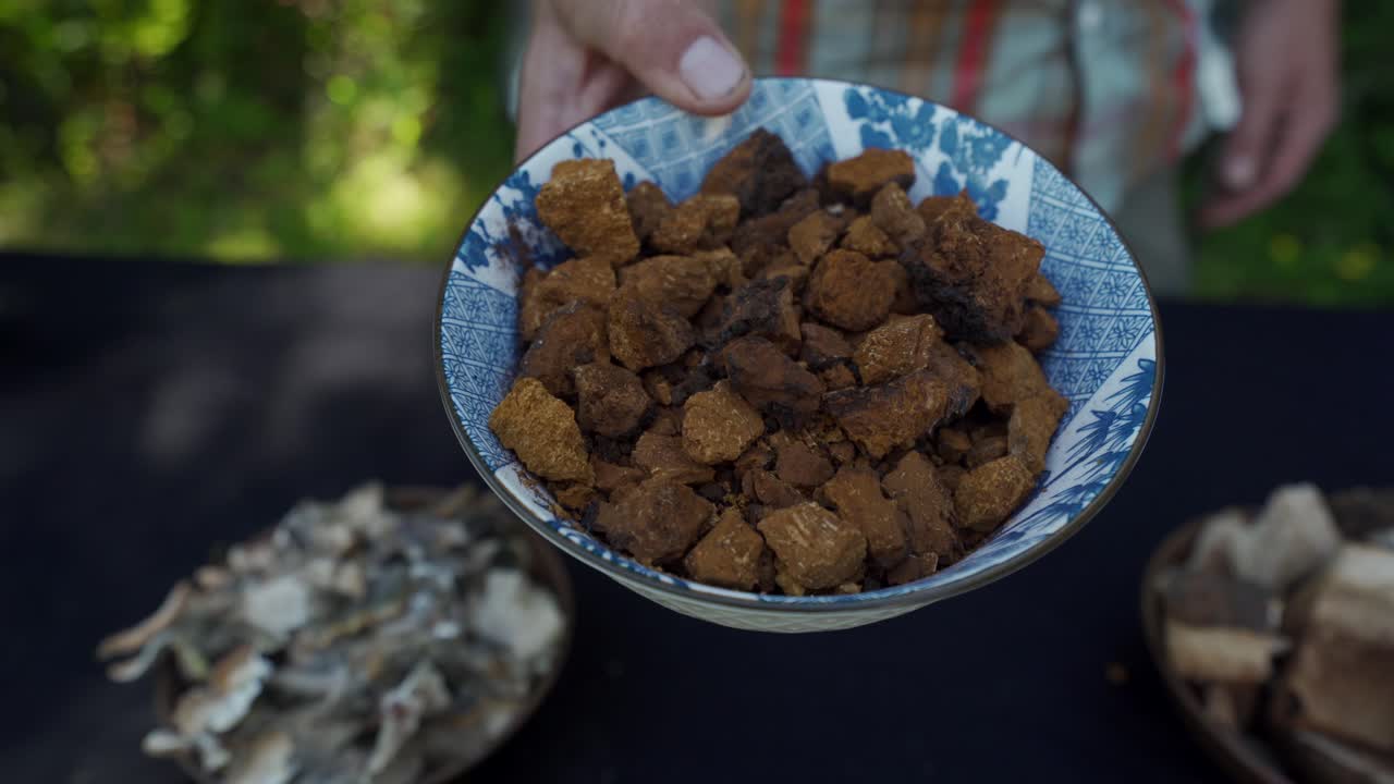 tazón de trozos de hongos chaga después de ser pesados