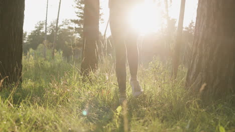 female jogger runs in forest at sunset. young lady legs jogging among trees under warm sunlight. fitness workout in fresh air to improve well-being