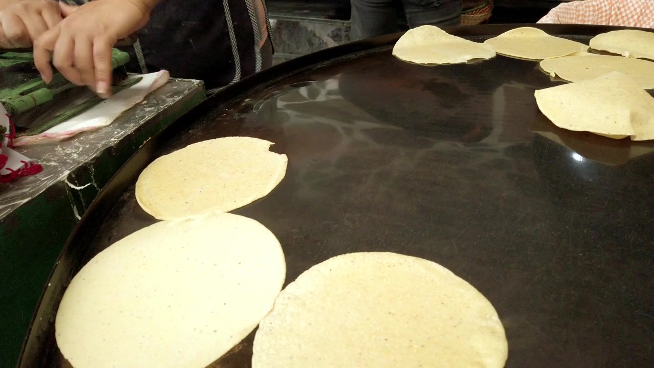 Traditional corn tortillas cooking on large hot griddle at Mexican food stall with street food preparation and handmade culinary process