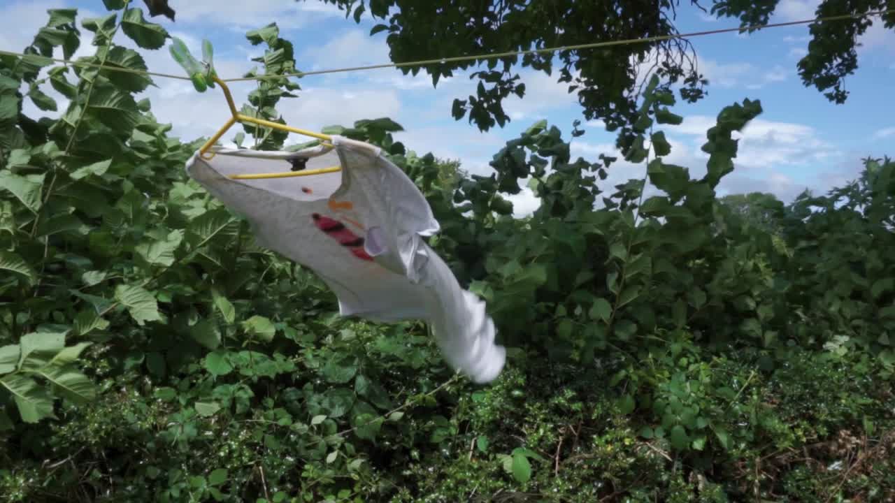 야외에서 바람 부는 티셔츠