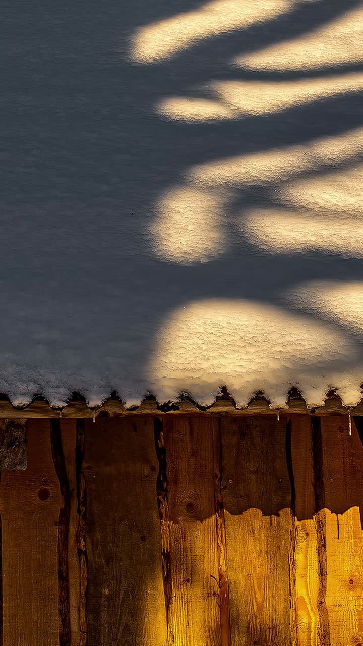 Shadow time lapse tree branches over frozen snow covered roof in winter, vertical video