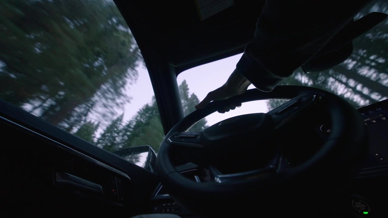 Close up of a man driving with one hand on the wheel through a giant sequoia forest.