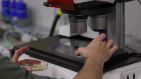 el científico pone el espécimen bajo el microscopio en el laboratorio