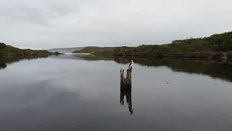 Wildlife-in-Torbay-Inlet,-a-secret-spot-located-in-the-south-of-Western-Australia