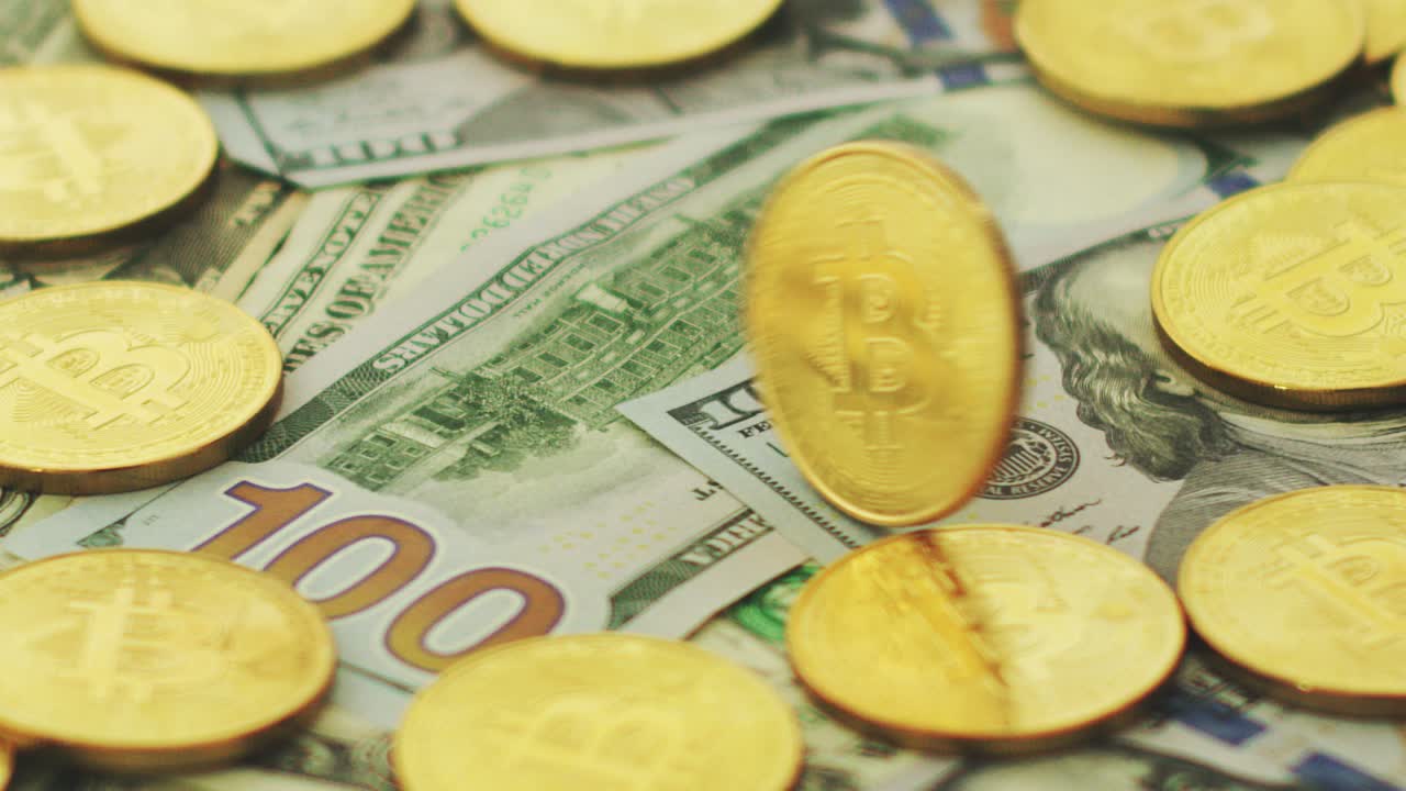 Wealth of bitcoins and dollars