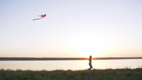 young happy woman and het little dog walking with flying kite on a glade at sunset, slow motion