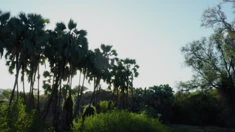 Republik-Namibia-Im-Südlichen-Afrika