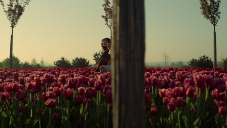 Flower-garden-with-unknown-young-woman-with-cello-in-morning.