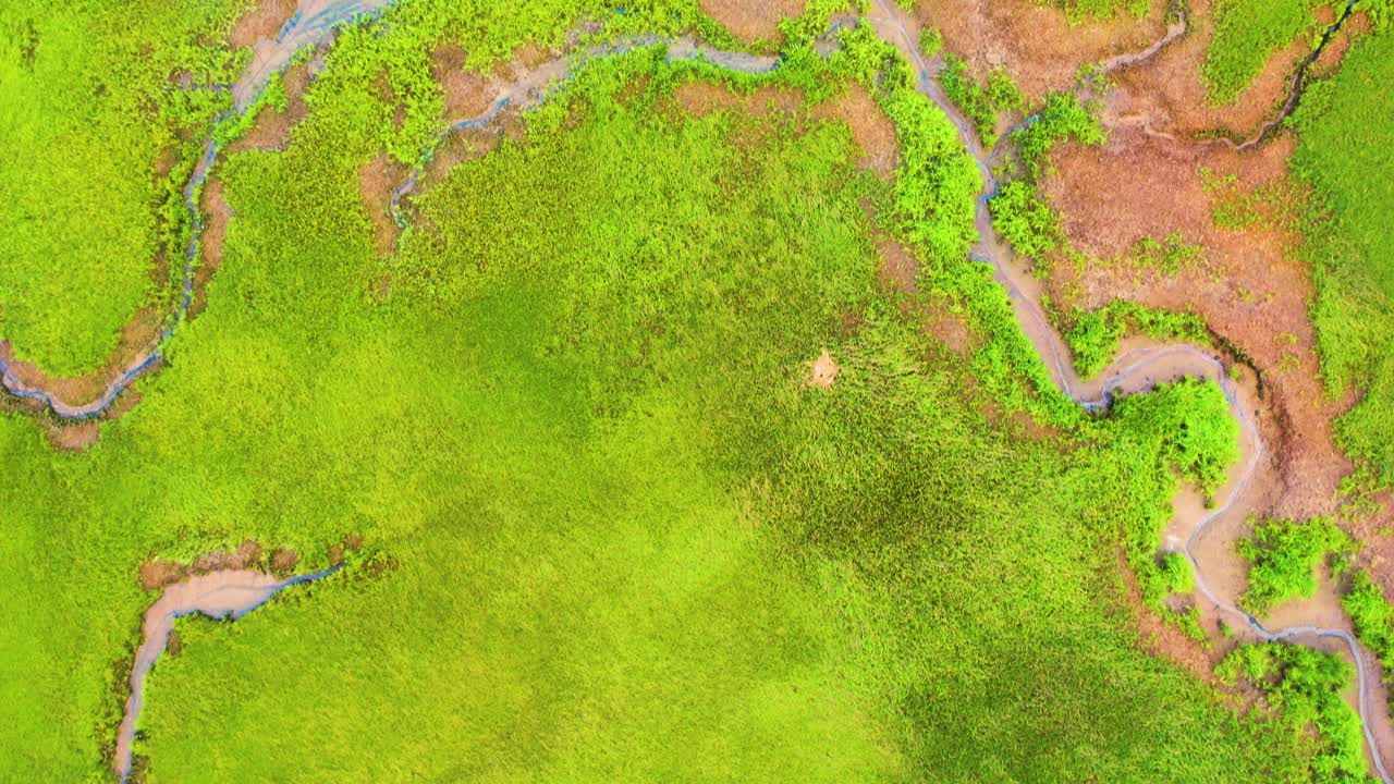 Top-down perspective from a drone captures the river marsh’s mix of vegetation, sandy flats, and tidal channels, creating a colorful mosaic across the wetland surface