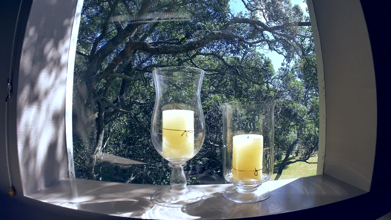 장례식에 사용되는 꽃과 촛불의 샷