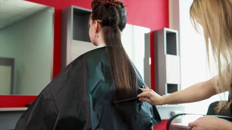 woman getting a haircut at a hair salon