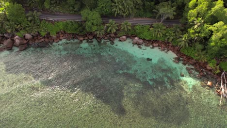 Drone-shot-of-public-asphalt-road-near-the-coastline-,-coconut-palm-trees-and-1-passing-car,-Baie-Lazare,-Mahe,-Seychelles-30fps