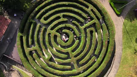 Luftbild-Nach-Oben-Von-Menschen,-Die-An-Einem-Sonnigen-Tag-In-Einem-Grünen-Labyrinth-Spielen