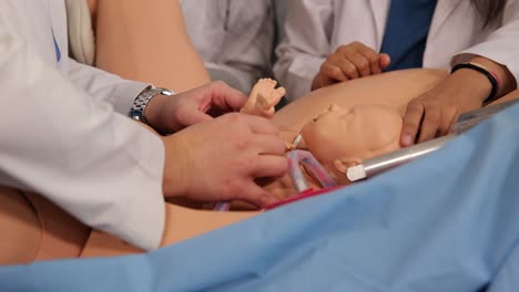 a group of students learns to give birth on a mannequin. gynecology. high quality 4k footage
