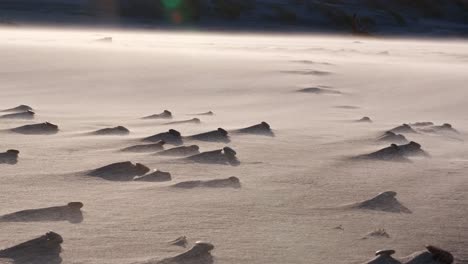 Sand-floating-in-the-strong-wind-on-the-beach