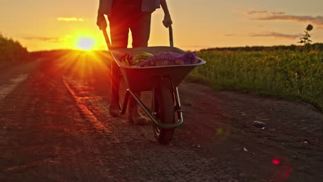 un granjero con una carretilla al atardecer
