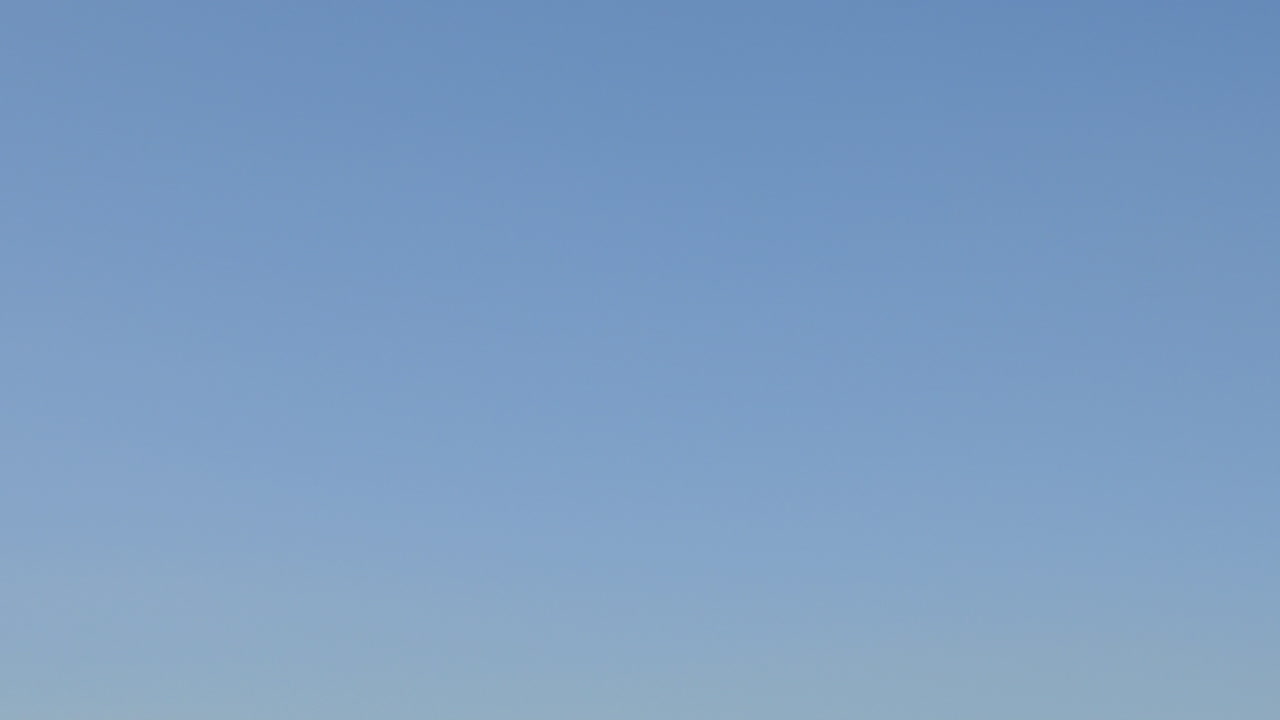 손은 엄지손가락을 위아래로