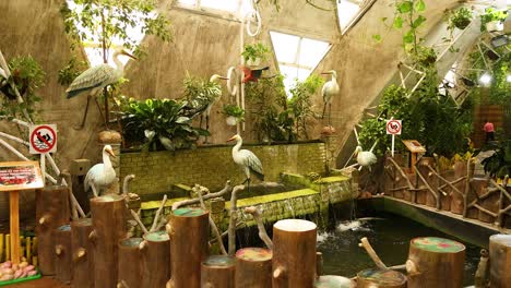 birds interacting near an indoor waterfall display