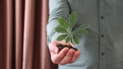 concepto y símbolo del medio ambiente de crecimiento