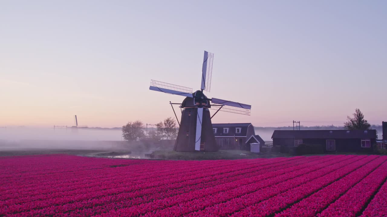 Vista aerea di Noordwijkerhout con Hogeveensemolen, Tulipani, mulino a vento, che mostra un ampio paesaggio rurale nei Paesi Bassi