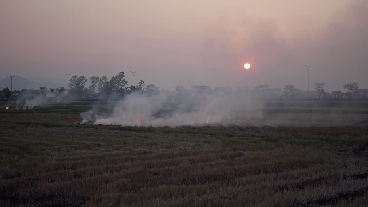 Sunset over a rice paddy with smoke