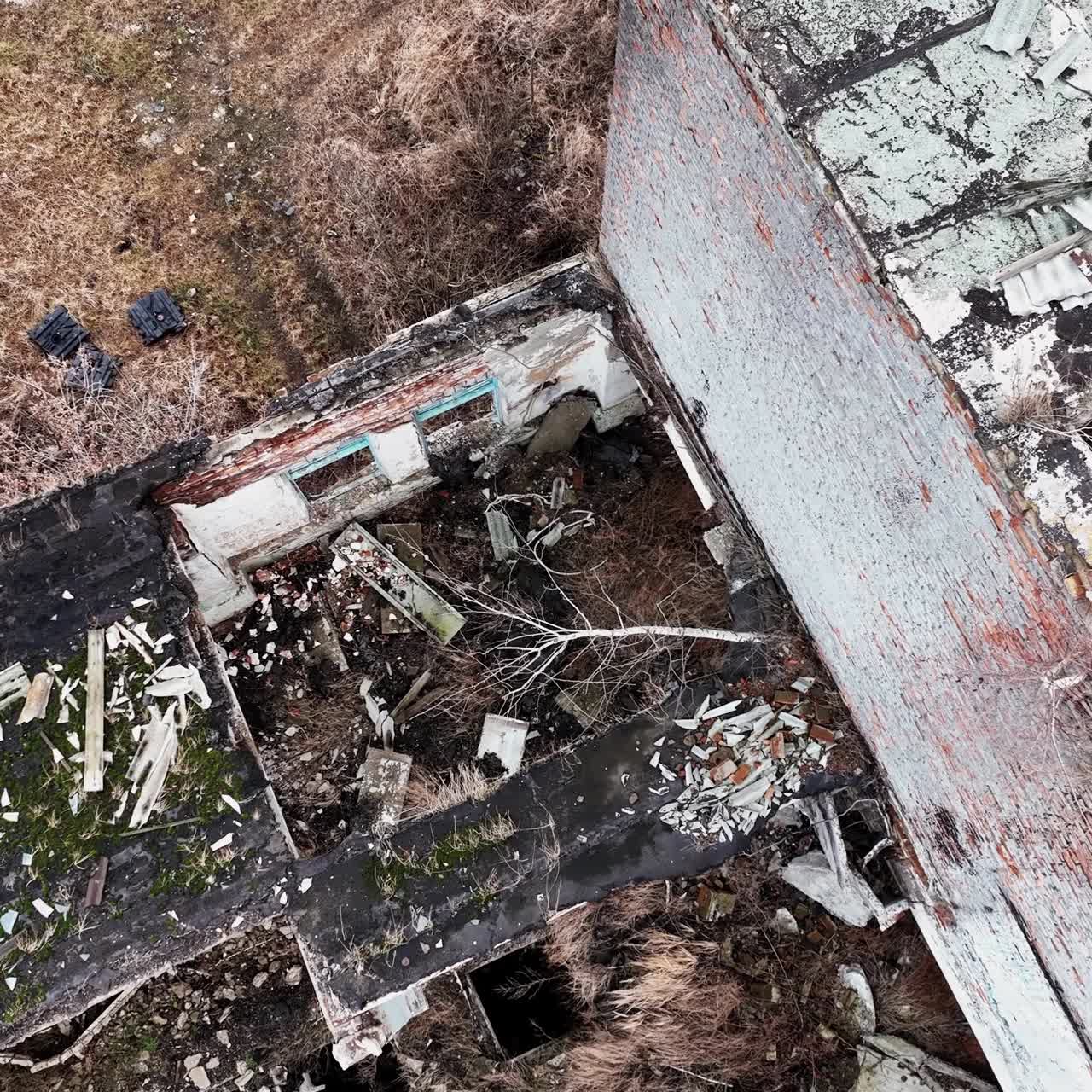 Remnants of the damaged factory building. Destroyed industrial premises overgrown with trees. Aerial view