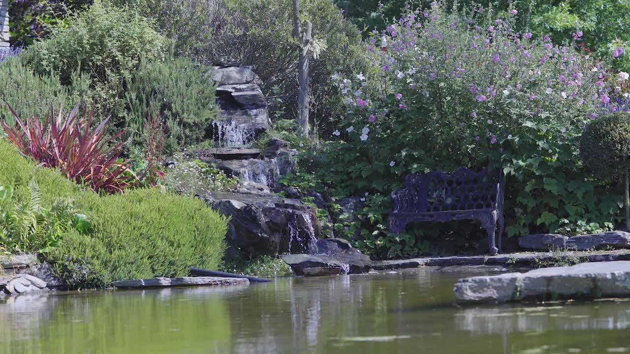 timelapse de la pequeña caída y un banco en el jardín
