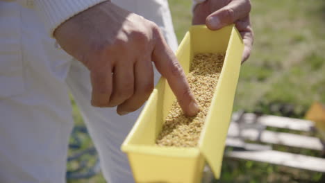 BEEKEEPING---A-pollen-trap-used-in-beehives-in-an-apiary,-slow-motion-close-up