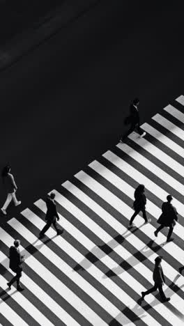 aerial view of people crossing a zebra-striped crosswalk, creating a dynamic, cinematic video-like
