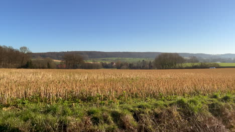 Schwenkaufnahme-Eines-Landwirtschaftlichen-Anbaufeldes-Im-Sommer-Und-Blauer-Himmel