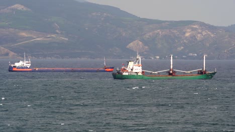 empty anchored cargo ships moored in bay.