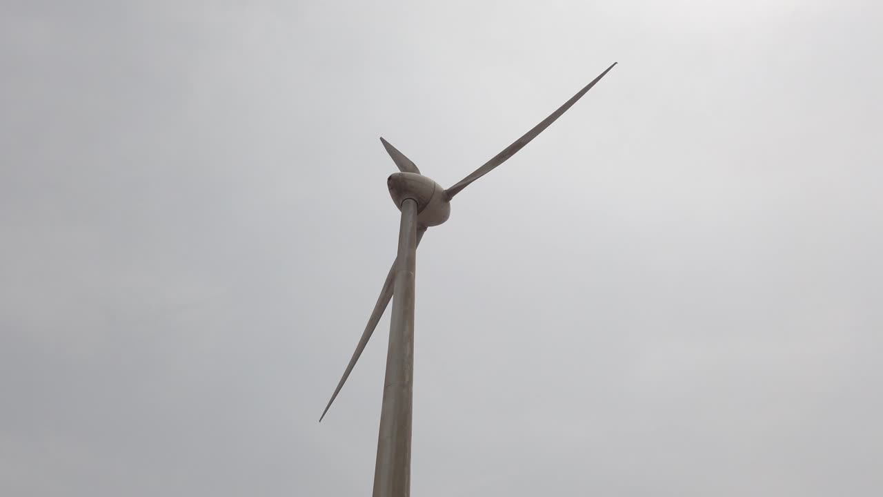 회전하는 풍차를 바라보며