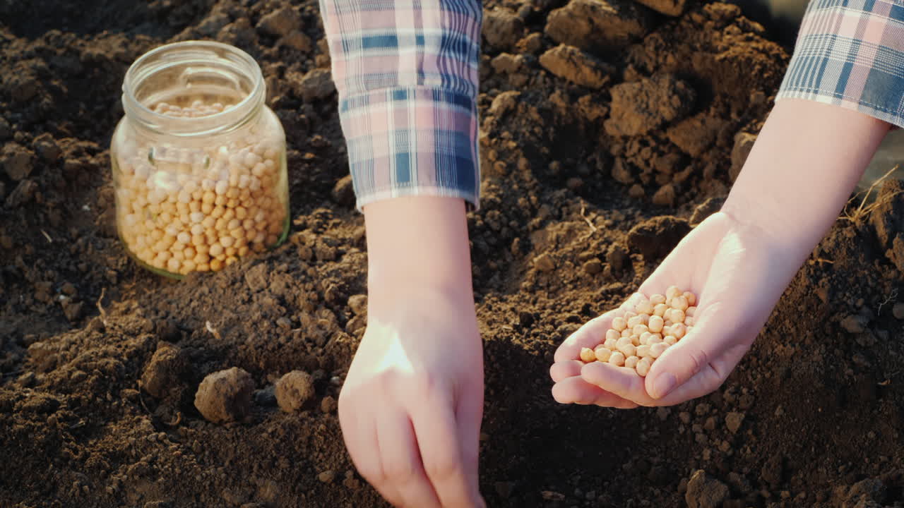 그녀의 정원 클로즈업에 씨앗을 심는 여자