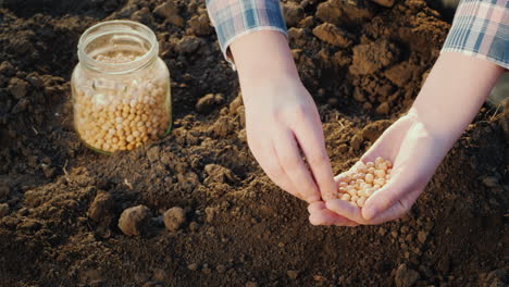 Woman-Planting-Seeds-In-Her-Garden-Close-Up