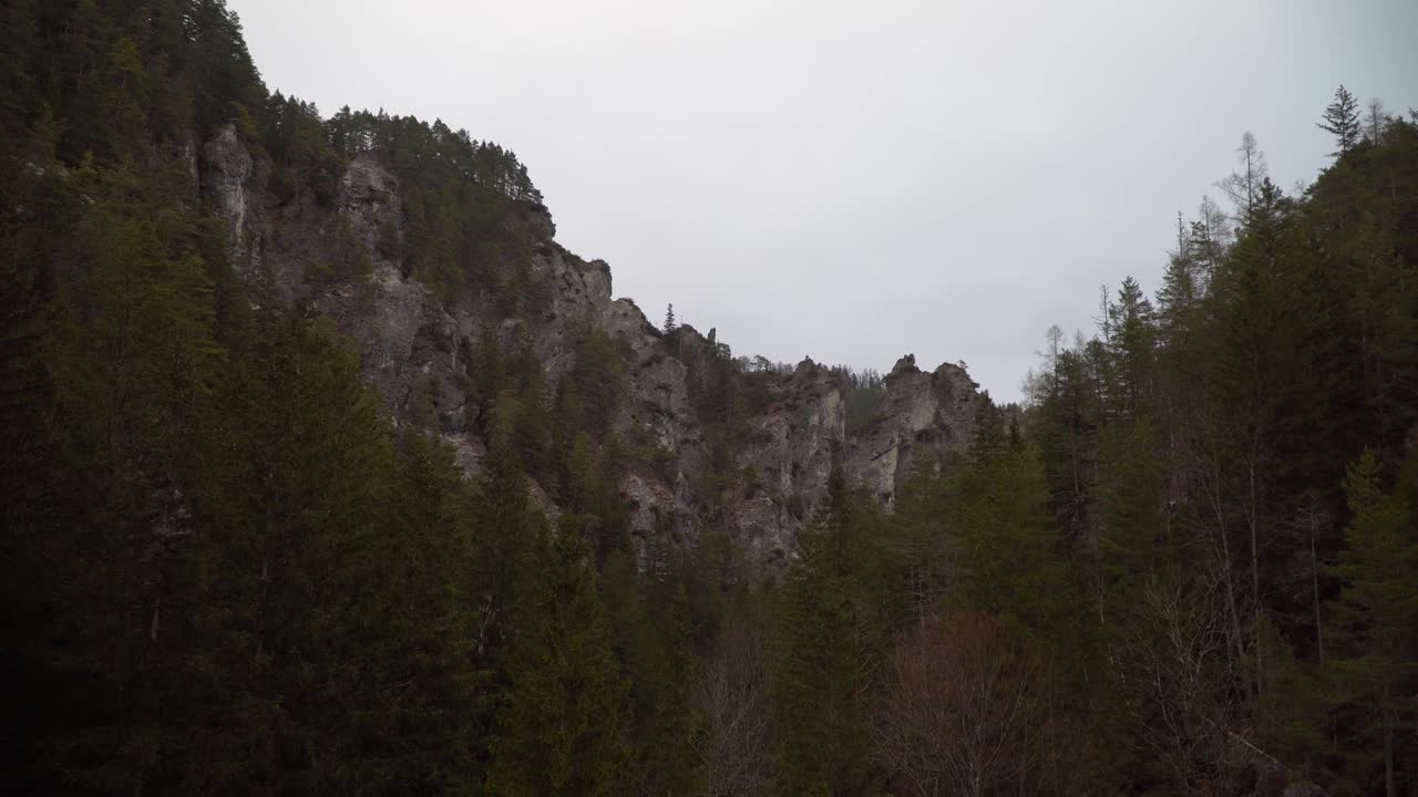 A static shot of rocky mountain cliffs and lush trees at the Erlaufstausee Lake in Styria, Austria, capturing a serene winter landscape.