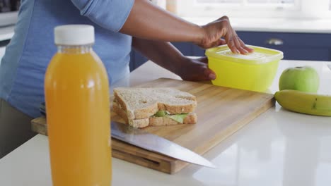 Sección-Media-De-Una-Mujer-Afroamericana-Empacando-Sándwich-En-Una-Caja-En-La-Cocina