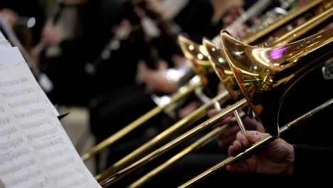 side shot of several musicians playing on their trombones and other musicians playing on their instruments