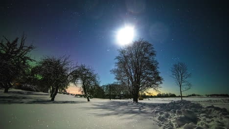 Starry-sky-and-moon-illuminate-snowy-landscape-with-trees-and-glittering-snow