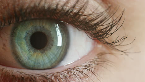 cerca hermoso ojo azul abriendo el iris humano macro belleza natural