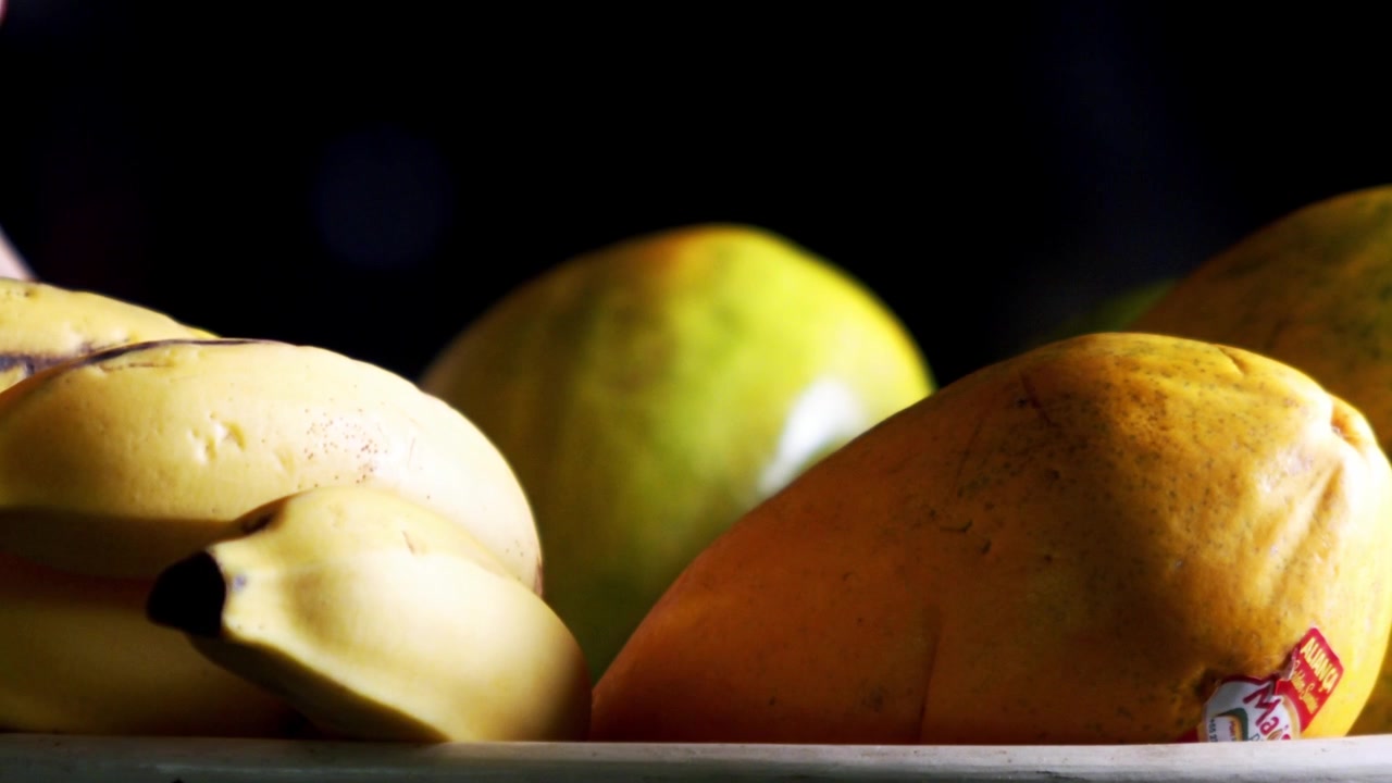 Dagli alberi e dalle viti il raccolto è vicino, abbondanza fresca, gli agricoltori esultano